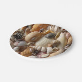 Paper Tellers Seashells Pappteller (Schrägansicht)