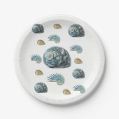 Paper Tellers Seashells Pappteller (Vorderseite)