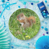 Paper Tellers " Themed, Beautful Red Squirrel " Pappteller (Party)