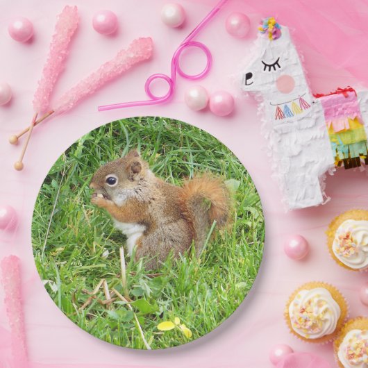 Paper Tellers " Themed, Beautful Red Squirrel " Pappteller (Party)