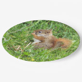 Paper Tellers " Themed, Beautful Red Squirrel " Pappteller (Schrägansicht)