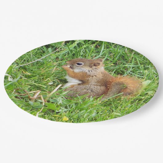 Paper Tellers " Themed, Beautful Red Squirrel " Pappteller (Schrägansicht)
