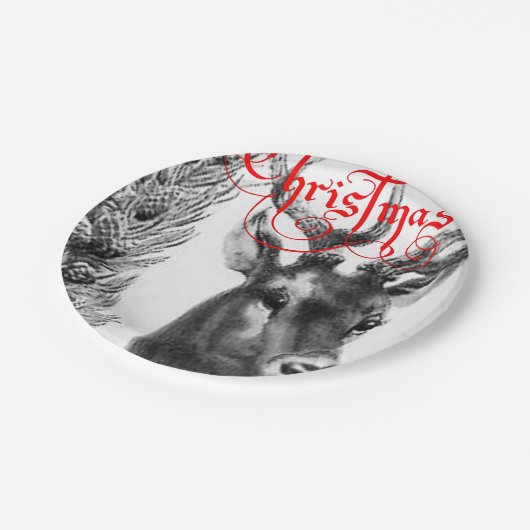 Paper Tellers Weihnachten Pappteller (Schrägansicht)
