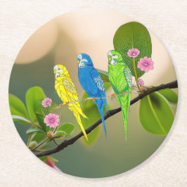Paper Untersetzer Budgies