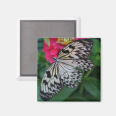 Paperkite Butterfly Magnet (Vorderseite/Rückseite)