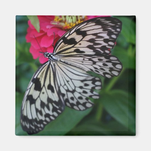 Paperkite Butterfly Magnet (Vorne)