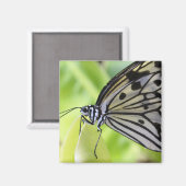 Paperkite Butterfly Magnet (Vorderseite/Rückseite)