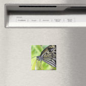 Paperkite Butterfly Magnet (In Situ (Geschirrspüler))