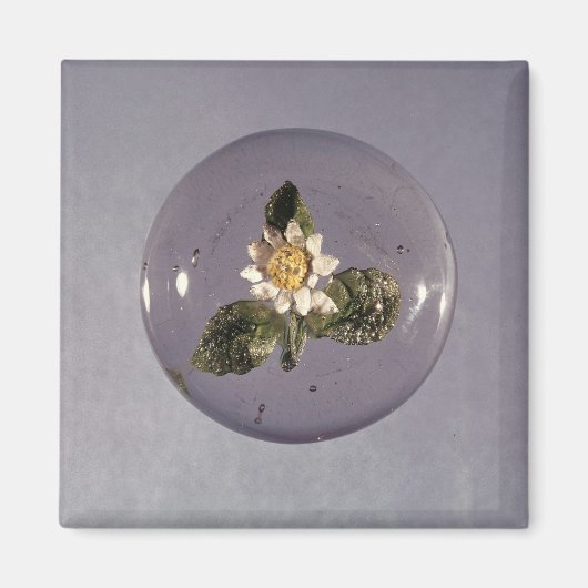 Paperweight, Pantin Workshop, c.1850 Magnet (Vorne)