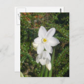 Paperweiße Postkarte (Vorne/Hinten)