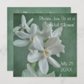 Paperwhite Narcissus Bridal Dusche Einladung (Vorne/Hinten)