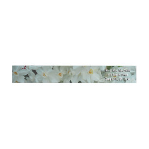 Paperwhite Narcissus Delikate Weiße Blume