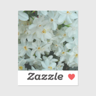 Paperwhite Narcissus Delikate Weiße Blume Aufkleber