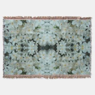 Paperwhite Narcissus Delikate Weiße Blume Decke