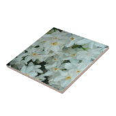 Paperwhite Narcissus Delikate Weiße Blume Fliese (Seite)