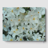 Paperwhite Narcissus Delikate Weiße Blume Gästebuch (Rückseite)