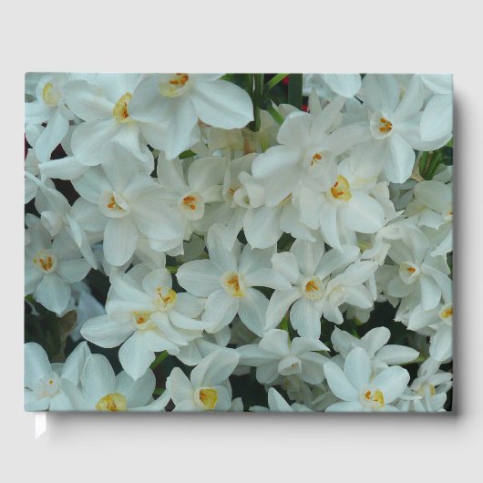 Paperwhite Narcissus Delikate Weiße Blume Gästebuch (Vorderseite)