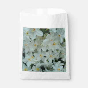 Paperwhite Narcissus Delikate Weiße Blume Geschenktütchen