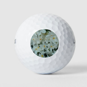 Paperwhite Narcissus Delikate Weiße Blume Golfball