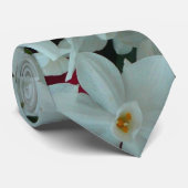 Paperwhite Narcissus Delikate Weiße Blume Krawatte (Gerollt)