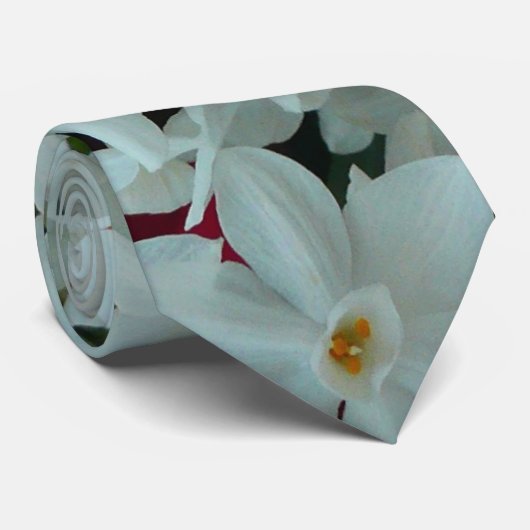 Paperwhite Narcissus Delikate Weiße Blume Krawatte (Gerollt)