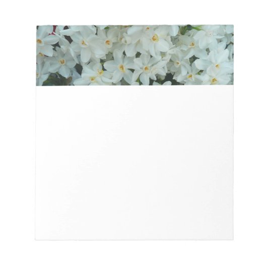 Paperwhite Narcissus Delikate Weiße Blume Notizblock (Vorderseite)