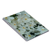 Paperwhite Narcissus Delikate Weiße Blume Notizblock (Rechte Seite)