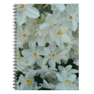 Paperwhite Narcissus Delikate Weiße Blume Notizblock