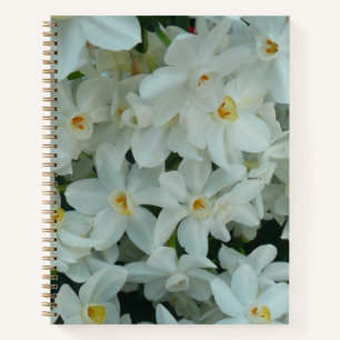 Paperwhite Narcissus Delikate Weiße Blume Notizblock