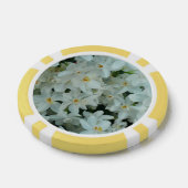 Paperwhite Narcissus Delikate Weiße Blume Pokerchips (Einzeln)