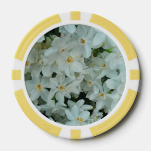 Paperwhite Narcissus Delikate Weiße Blume Pokerchips