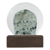 Paperwhite Narcissus Delikate Weiße Blume Schneekugel (Rückseite)