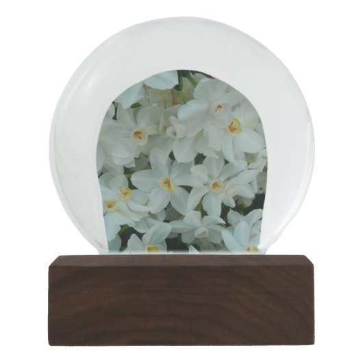 Paperwhite Narcissus Delikate Weiße Blume Schneekugel (Vorderseite)