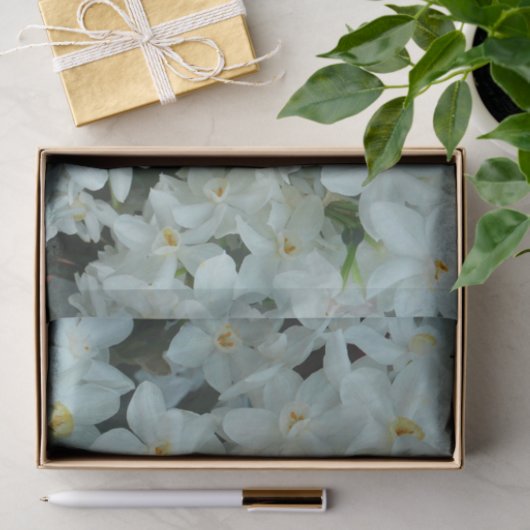 Paperwhite Narcissus Delikate Weiße Blume Seidenpapier (Geschenk)