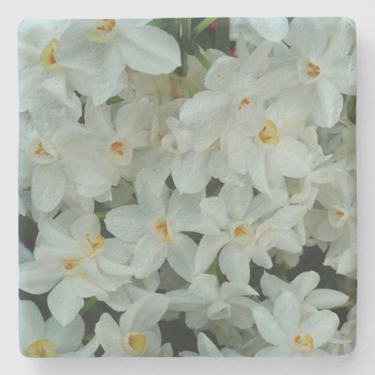 Paperwhite Narcissus Delikate Weiße Blume Steinuntersetzer (Vorderseite)