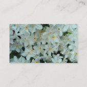 Paperwhite Narcissus Delikate Weiße Blume Visitenkarte (Rückseite)