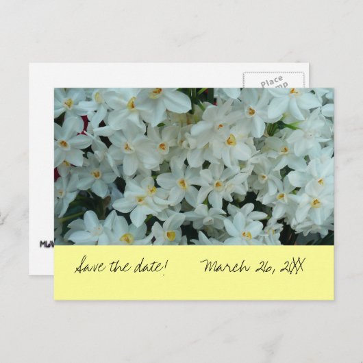 Paperwhite Narcissus "Save the Date" Postkarte (Vorne/Hinten)