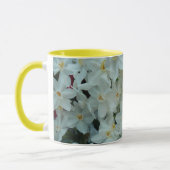 Paperwhite Narzissen-empfindliche weiße Blumen Tasse (Links)