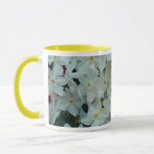 Paperwhite Narzissen-empfindliche weiße Blumen Tasse (Links)