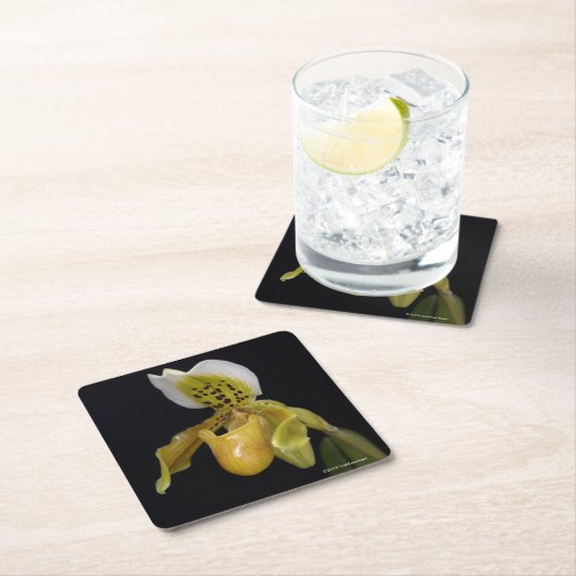 Paphiopedilum Exul Rechteckiger Pappuntersetzer (Vor Ort)