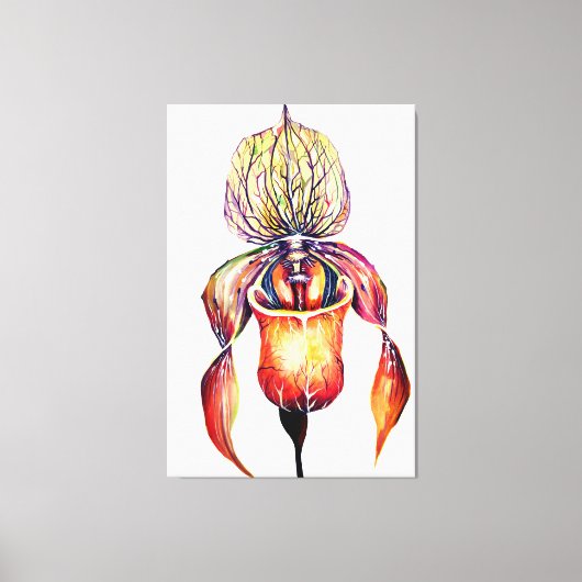 Paphiopedilum Orchid Leinwanddruck (Vorderseite)