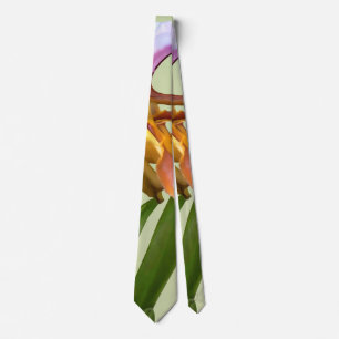 Paphiopedilum Orchids miteinander verbunden Krawatte