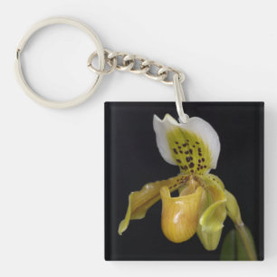 Paphiopedilum Schlüsselanhänger