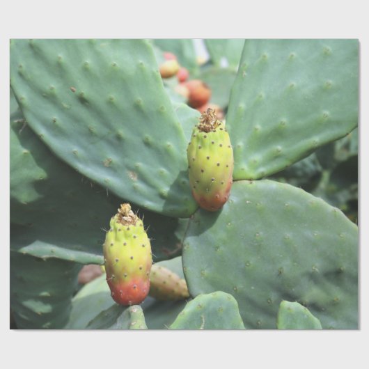 papier des Geschenks chumbera Feigenbaum Geschenkpapier (Flach)