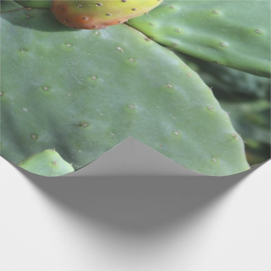 papier des Geschenks chumbera Feigenbaum Geschenkpapier (Ecke)