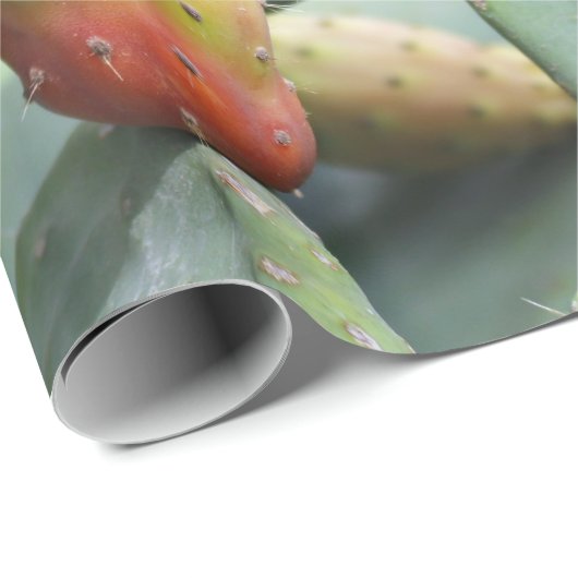 papier des Geschenks chumbera Feigenbaum Geschenkpapier (Rolleneckpunkt)