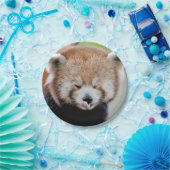 Papier Flugzeug Foto rot Panda 0471. Pappteller (Party)