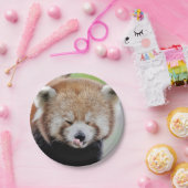 Papier Flugzeug Foto rot Panda 0471. Pappteller (Party)