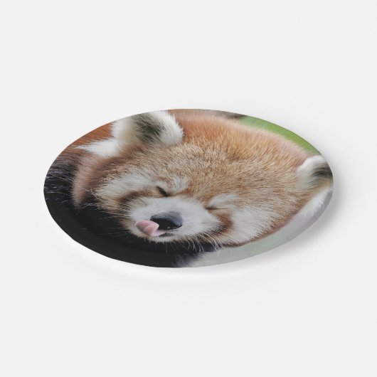 Papier Flugzeug Foto rot Panda 0471. Pappteller (Schrägansicht)