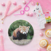 Papier Flugzeug Foto rot Panda 0473. Pappteller (Party)